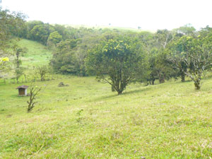 The wellhoue at bottom of shallow valley.